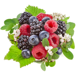 Frutti di Bosco Frutti di Bosco