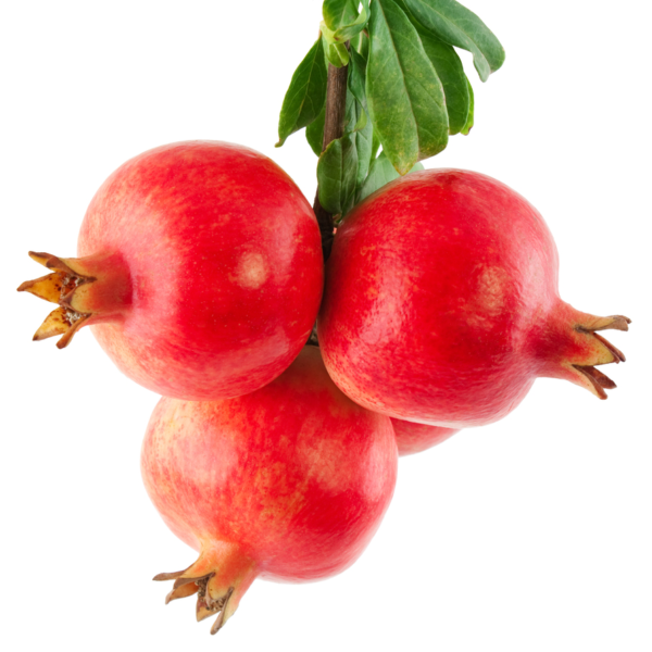 Melagrana