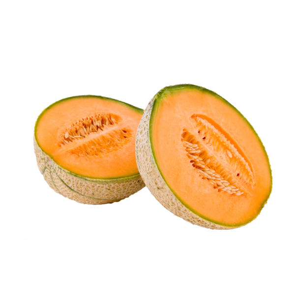Melone Retato Melone Retato