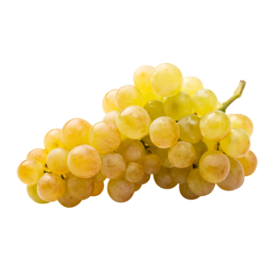 Uva Italia Uva Italia