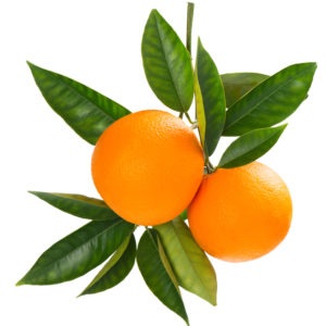 Arance Naturali Italiane Arance Naturali Italiane