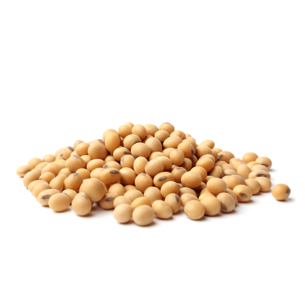 Fagioli Dolico Secchi