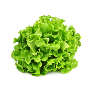 Insalata Gentile Insalata Gentile
