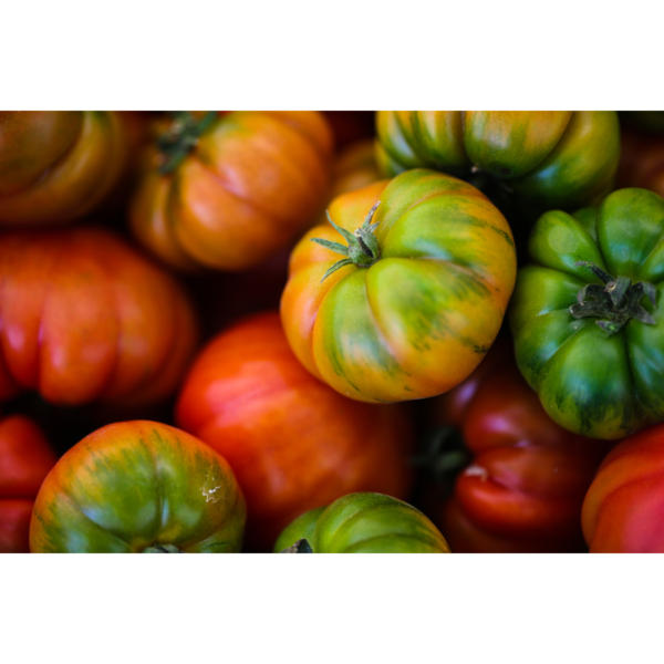 Pomodoro Merinda