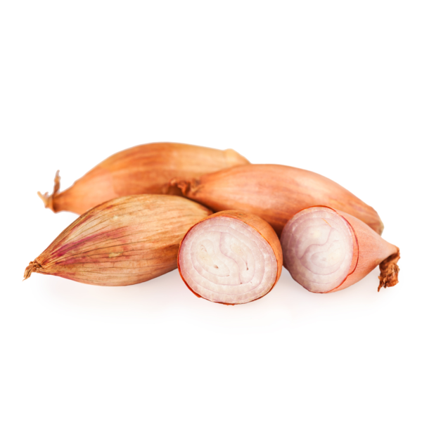 Scalogno