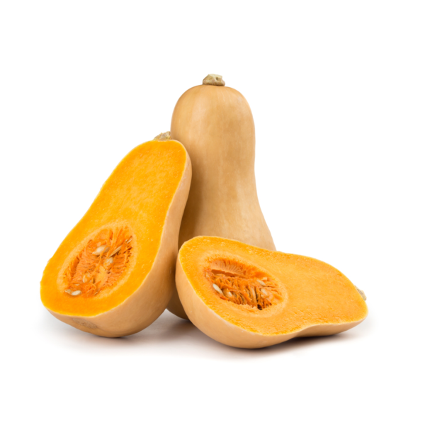 Zucca Violino