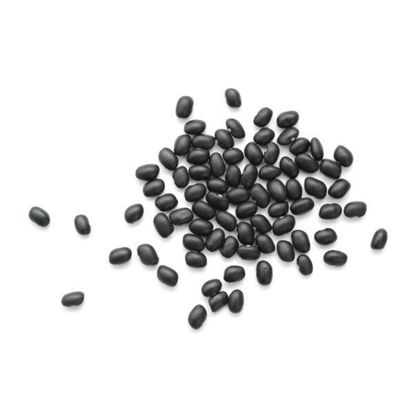 Fagioli Messicani Secchi