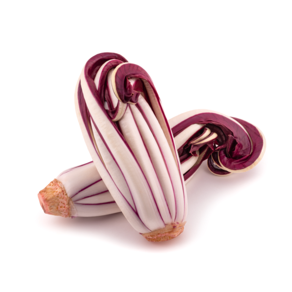 Radicchio Rosso Lungo Fino Tardivo