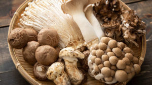 autunno funghi raccolta