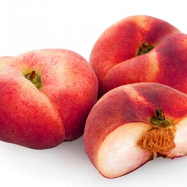 Pesche Tabacchiere