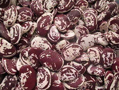 Fagioli Lima Secchi