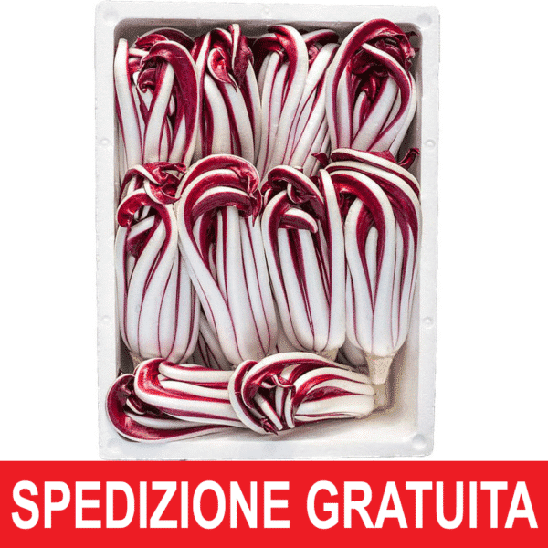 Cassetta Radicchio Tardivo