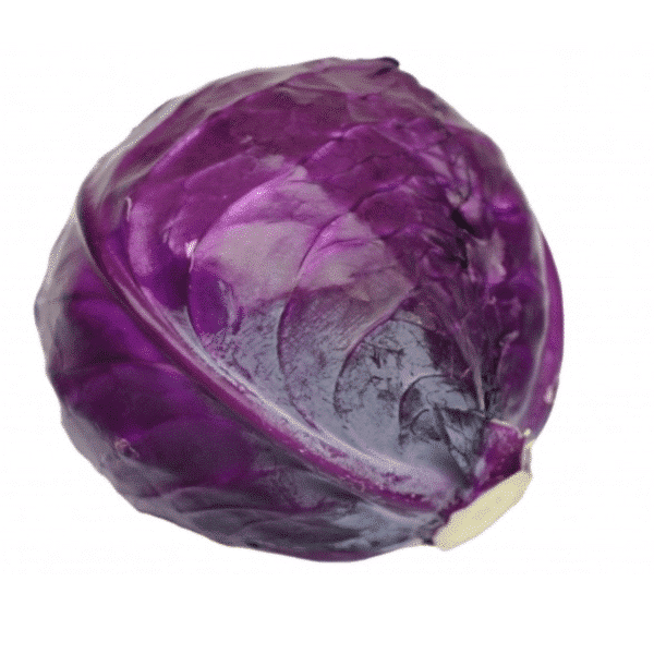 Cavolo Cappuccio Viola