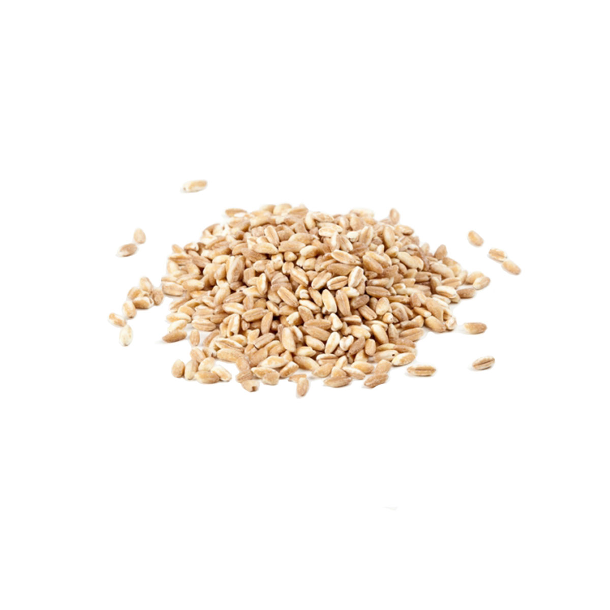 Farro