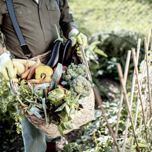 Frutta e Verdura di Tendenza