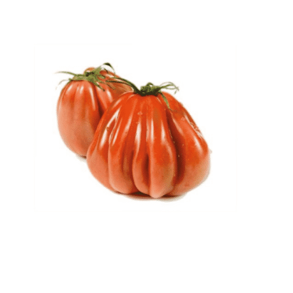 Pomodoro Cuor di Bue