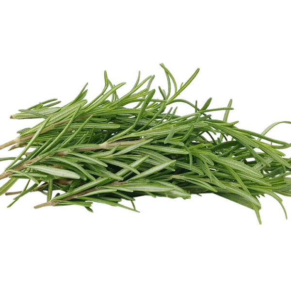 Rosmarino